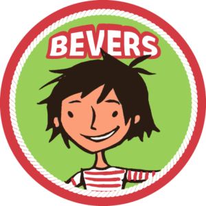 Bevers